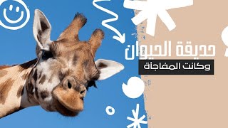 اخيرا رحنا حديقة الحيوان | اتفاجئنا  Giza Zoo ??