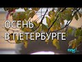 Осень в Ленинграде и в Петербурге