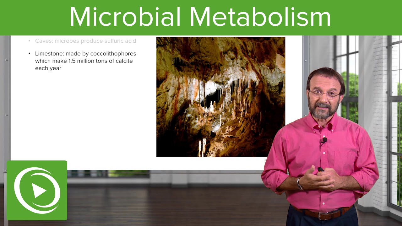 ⁣Metabolic Wizardry: Microbial Metabolism – Microbiology | Lecturio