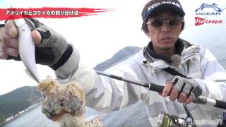 爆乗せエギング！　武宮隆史のダートマックス4号異次元テク　【後編】