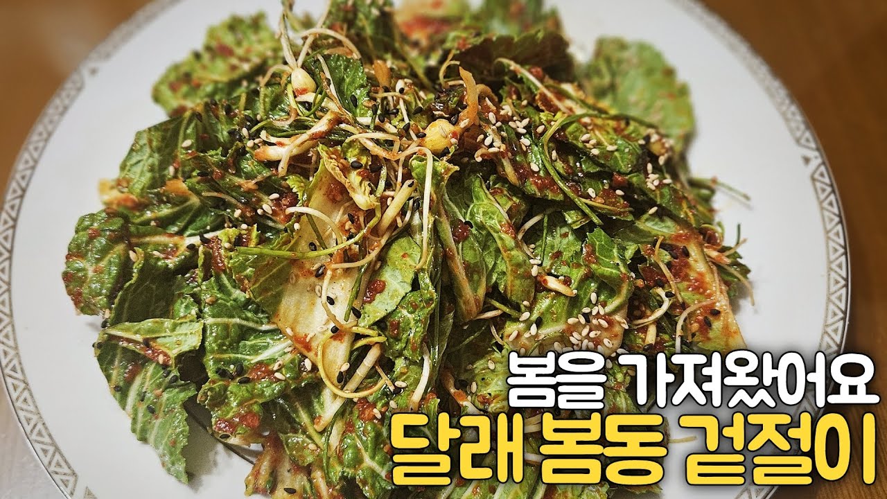 #봄동을 아세요?봄에 수확하는 어린배추,제철은 2~4월,식감은 연하고 달며#비타민C,칼륨,식이섬유가 풍부하고 #봄동겉절이에#달래 넣었더니 이 조합 미쳤다! 