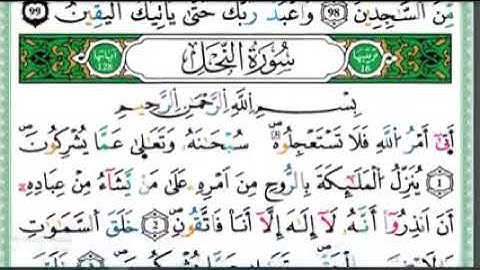 الحزب 27 ألر قراءة الحدر للمراجعة والتثبيت  برواية ورش على وقف الهبطي   عبد الله المحمدي