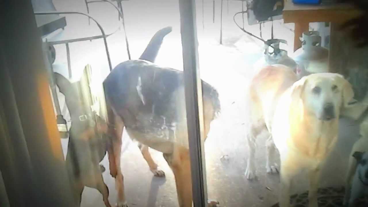 New mtv cribs YouTube