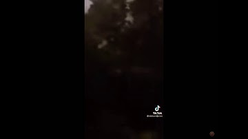 Kid Gets Stung By A Wasp ( Auto Tune)