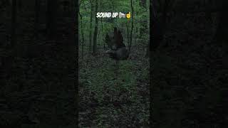 This got loud FAST😳🦃