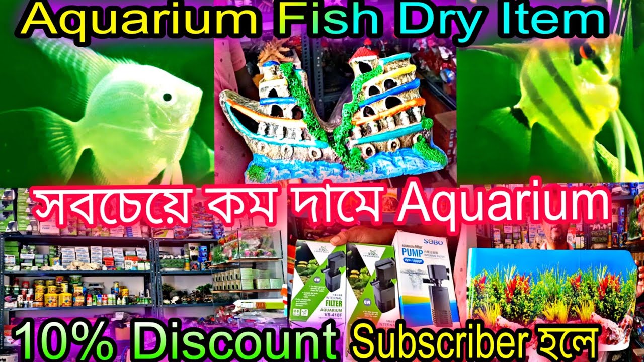 Aquarium Fish Shop Bhadreswar Aquarium Fish Accessories Price Update