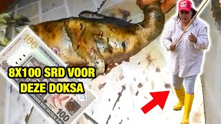 800 SRD Doksa Koken Op Chulha I  Vissen In Saramacca Kreek I Vlogs Uit Suriname