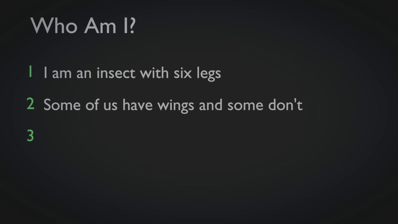 insects picture Who Am I - Insects - 1 - Educational Videos