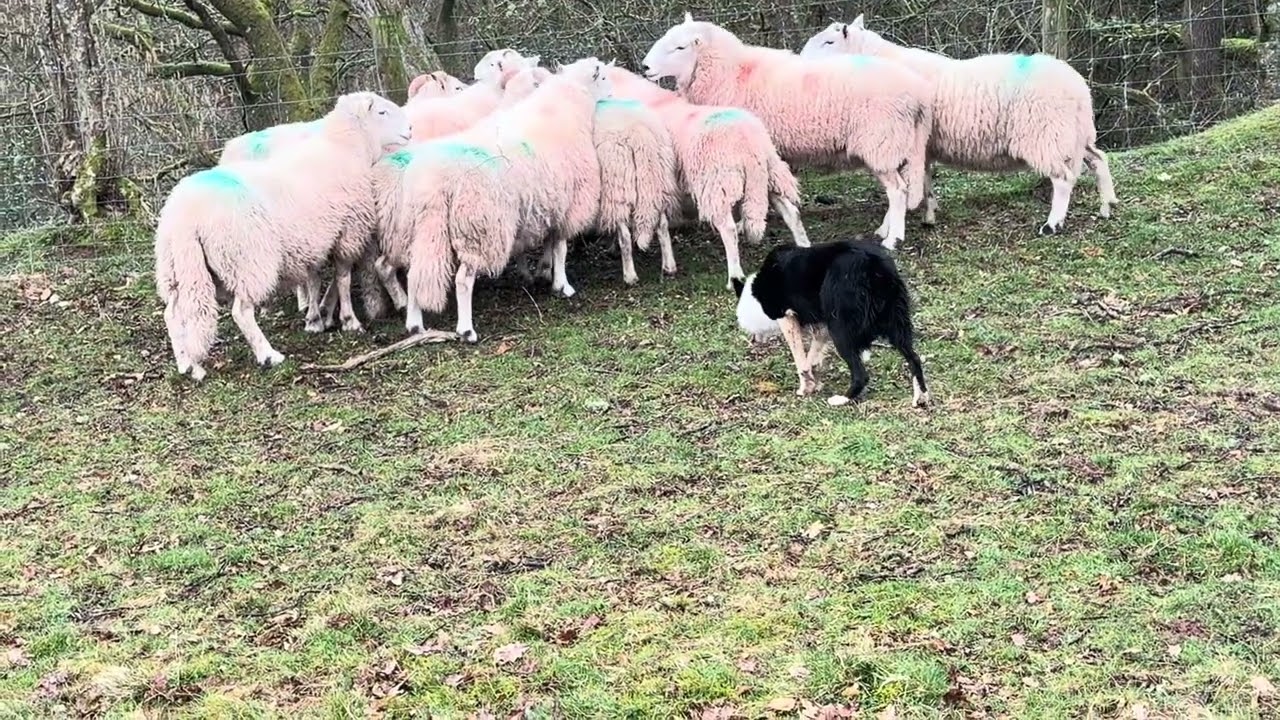 Glebe fort Cap.. Cool solid power with balance and brain..