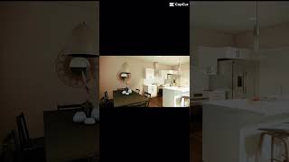 RDC Video 1