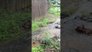 IMG 8793