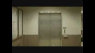 Avicii ft. Etta James - Levels (Special intro by Dj Tao)