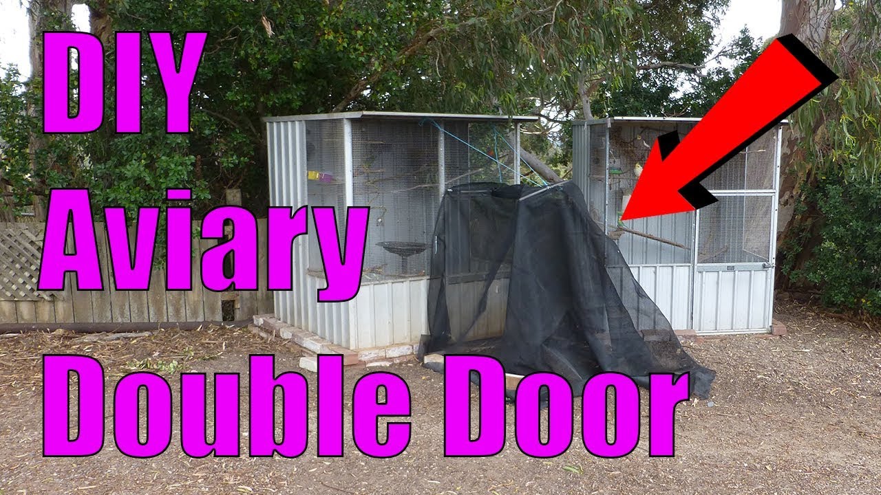 DIY Aviary Double Door YouTube