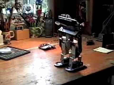 biped robot walking
