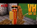 VHSMP Day 50 - WE VAULTING