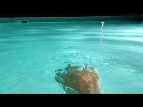 One Hertz Water Wave in a Kefalonia Swimming Pool