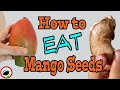 You can eat MANGO SEEDS - Weird Fruit Explorer Ep. 357