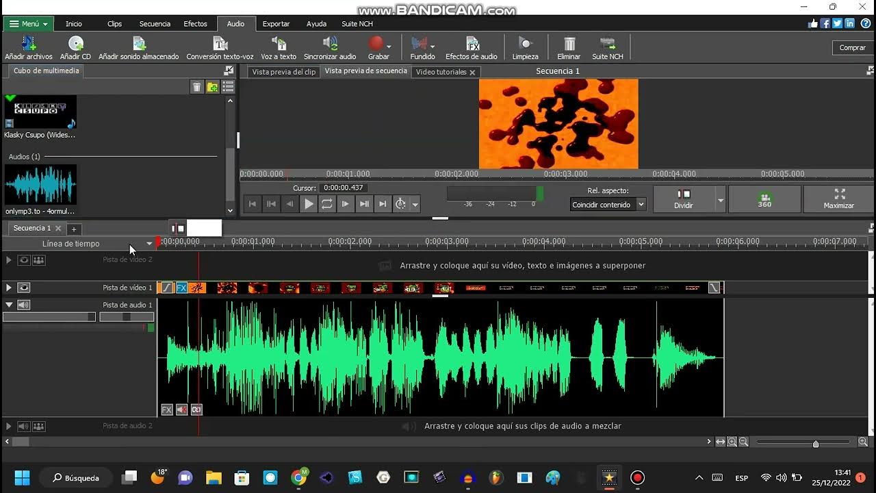 [Today Effects making] Making 4ormulator v1 on Videopad, Audacity and