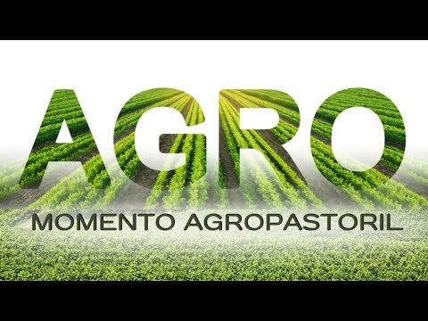 MOMENTO AGRO PASTORIL  EP38 - Igreja Cristã Maranata
