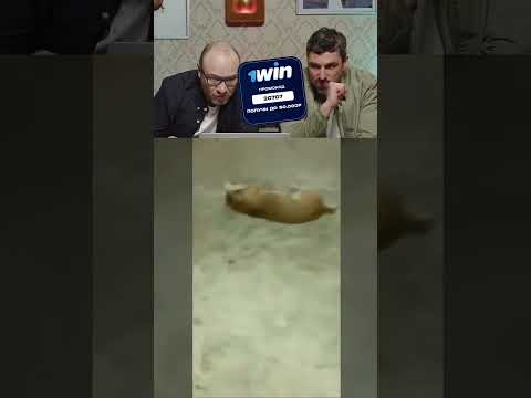 Нельзя смеяться | Смех с водой | 98 #shorts