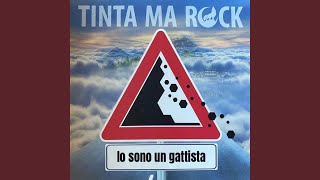 Video voorbeeld van "TintaMaRock - Io Sono Un Gattista"