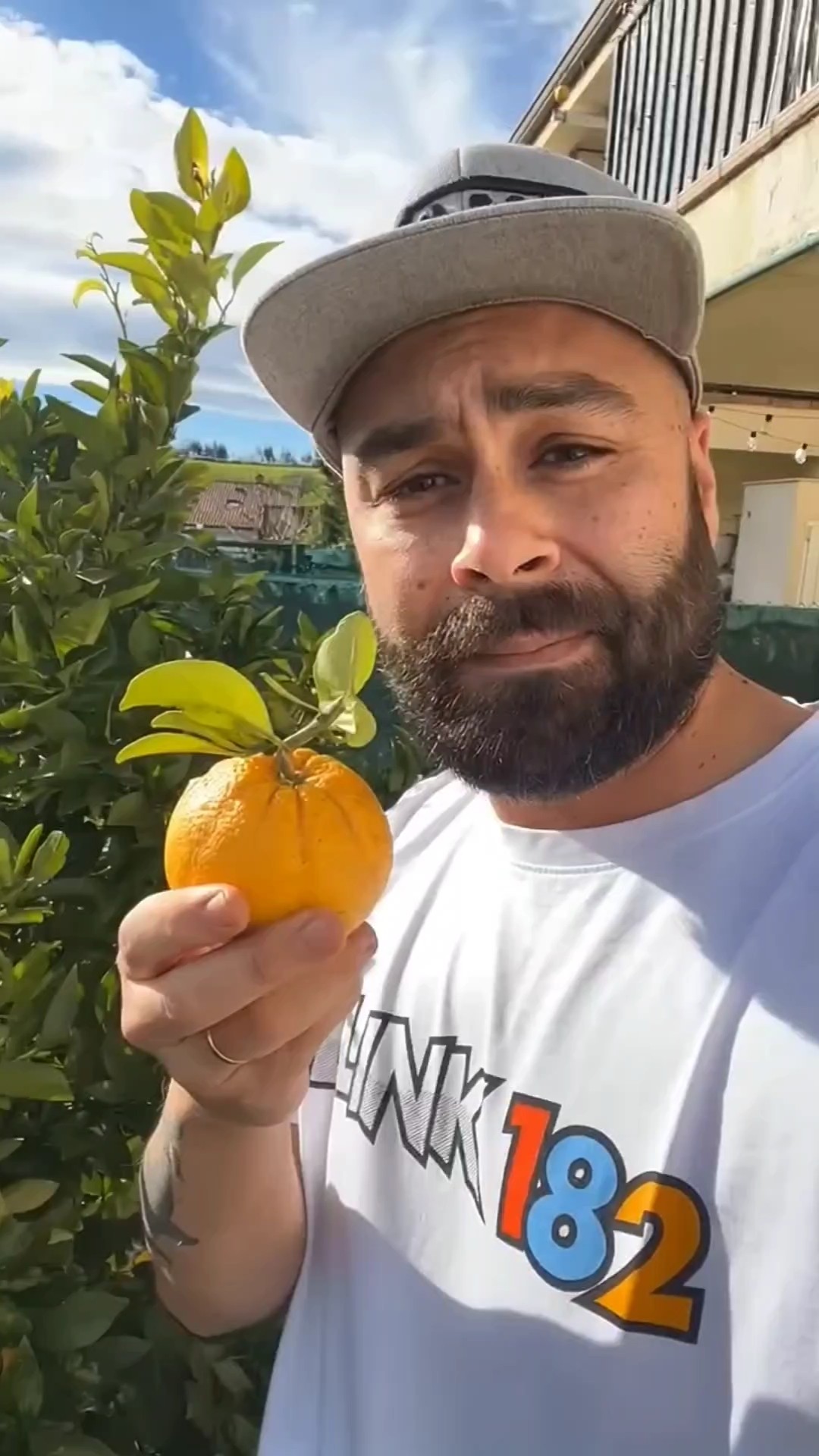 Want to try my oranges?🥭🍊😱# - YouTube