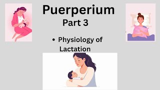 📝 Puerperium Part 3 | Physiology of Lactation | OBG Nursing Notes#long #nursing #viral