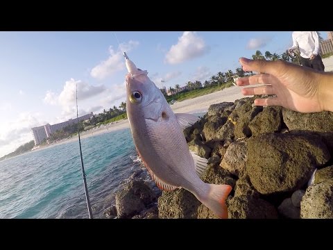Saltwater Fishing gets me HYPED!!! Beach Fishing in the Bahamas