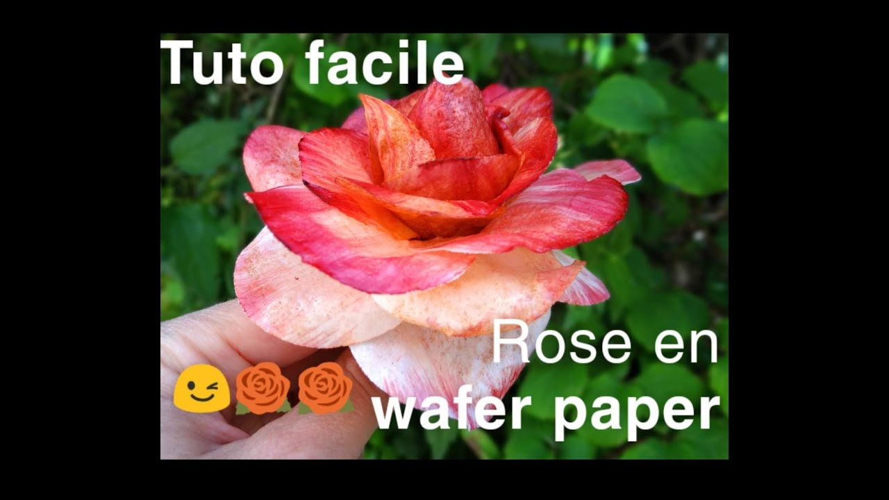 tuto rose colorée en wafer paper 