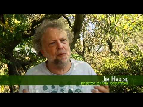 TreePeople: Olivia Bailey's Impact