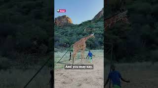Animals Around the World!