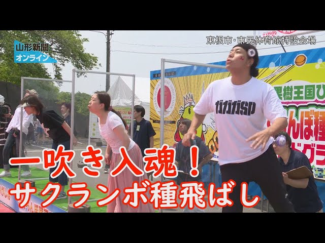 毎年6月に山形県でおこなわれる、さくらんぼのイベントとは何でしょうか?