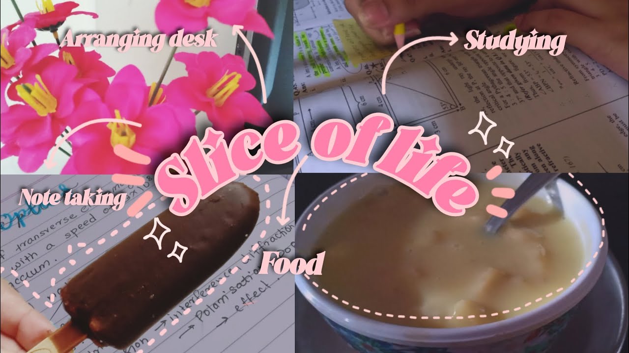 Slice of Life ⭐|productive days of my life, studying, note taking, food|