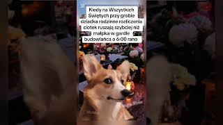 Już za kilka dni, za dni parę😎😂 #haha #śmieszne #humor #hallowen #wujciobimba