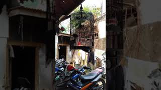 Download Lagu Latihan focal MP3