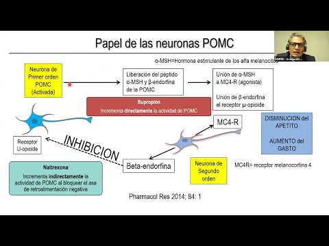 ADIPER | Manejo Farmacológico de la Obesidad