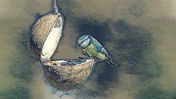 Artistic Effects: Turn photos into art.