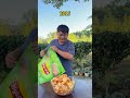 Did Everyone Notice The Difference Funny Food Did Everyone Notice The Difference Funny Food