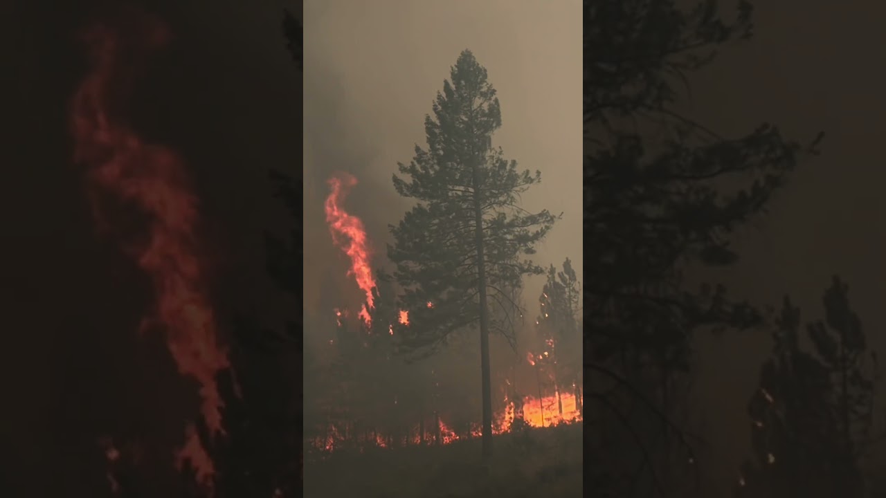 For full video click👇 Kaiser Canyon Fire -Nespelem, Washington - July 17, 2026.