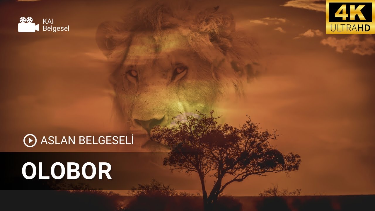 Aslan Kral Olobor Gücün ve Sadakatin Hikâyesi