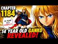 14 Yo Ganko & 11 Yo Brook In Esperia Kingdom | Brook Crazy Past Revealed | One Piece (Chapter 1184)