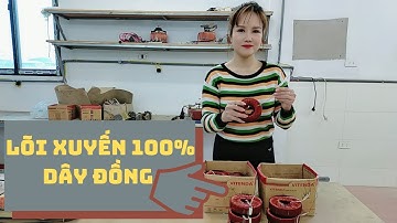 Biến áp xuyến 100% dây đồng đổi điện 220V sang 100V/110V - Nhận quấn biến áp xuyến theo yêu cầu