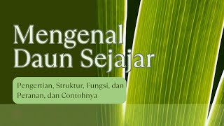 Daun Sejajar : Struktur, Fungsi, Peranan dan Contoh #biologi #daunsejajar ##jenisdaun #struktur