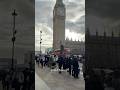 Talking Dogs of London #cutedogs #dogshorts #funny #talkingdogs #cutedog