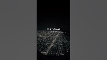 ما اسم القارئ؟