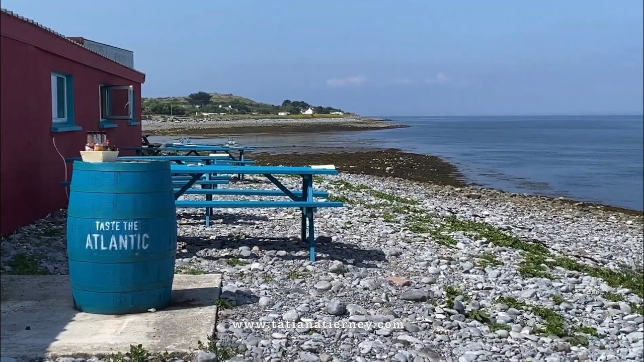 Exploring Ireland: The Burren Perfumery, Aillwee Caves & Birds of Prey Show