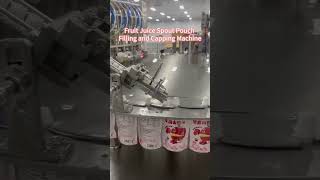 Fruit Juice Spout Pouch Filling and Capping Machine | Automatic Juice Pouch Packaging Solution