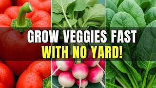 Top 9 Easiest Vegetables to Grow in Pots for Beginners