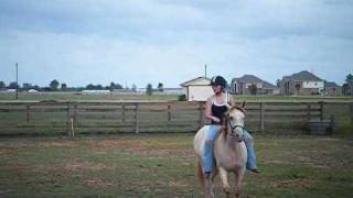 Horses- Halo