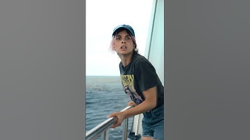 セーヌ川の水面の下に (クリップ 2) | 日本語の予告編 | Netflix